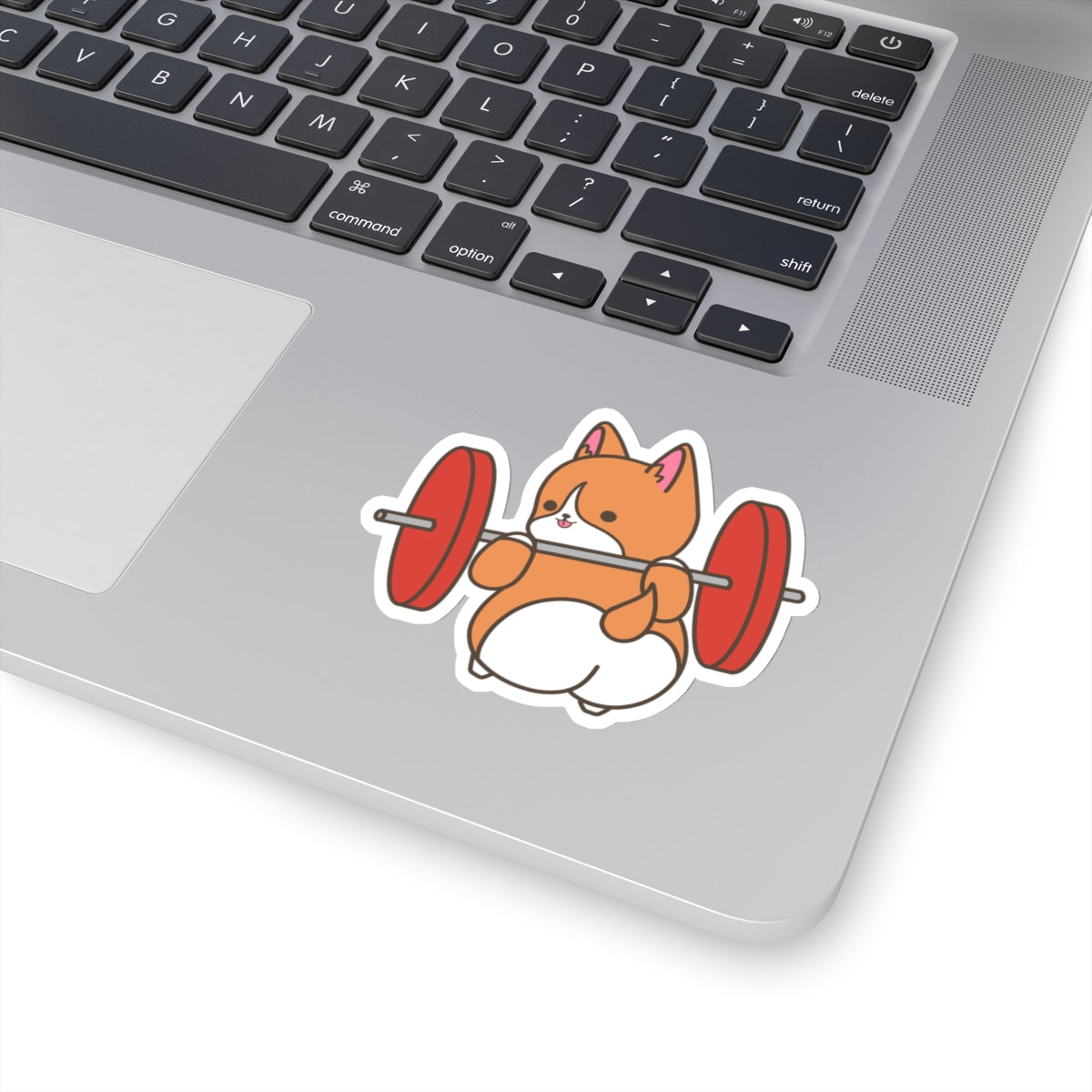 Sticker - Cho Squats